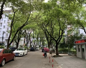 明楼北区 3楼 中庭 南北通风,好楼层低总价,曙光不占