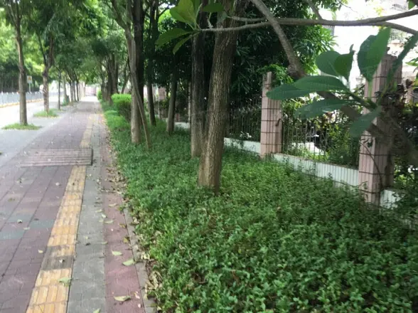 水榭花都别墅