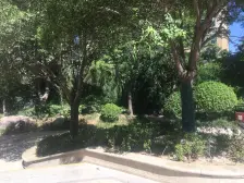 房采光全天无遮挡,视野好,满两年,诚心出售