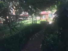 金荣花园南北通双气地铁口采光通风好楼层好