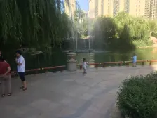 此房精装修,采光好,视野好 业主诚售