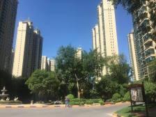 恒大绿洲(二期) 临地铁 刚需小三居 商品房 南北通透