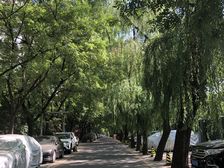 西坝河西里2室1厅南北