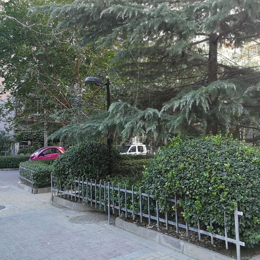 Õû×⡤ÓÀ¶¨ÃÅ¡¤¾°Ì©Î÷ÀïÎ÷Çø¡¤1ÊÒ