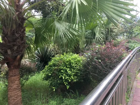 水榭花都别墅