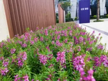 花溪御府 业主全款购买的 手续简单 诚心出售