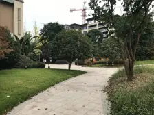 金科城37区 3室1厅 西南