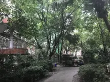 一碗水 颐泰巷三房52万