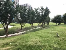 金科精装下叠 拎包入住 50平花园左右