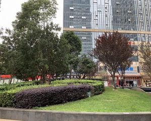 融城金阶