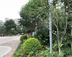 巫家坝旁融城金阶精装一室拎包入住随时看房