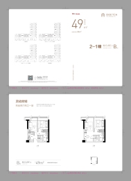 阳光城平江悦2室2厅1厨2卫建面49.00㎡