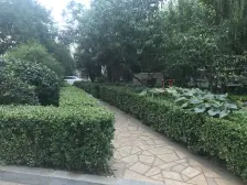 楼层好 位置好 诚心卖 看房方便 锦华 会文 全天采光