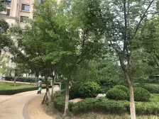 亿达春田银杏园 2室1厅 南