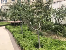 样板示范区 亿达园林 精装下跃户型 设计很合理 位置好