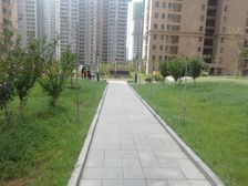 精装大三室两卫 采光好 看户型看装修 看户型看装修