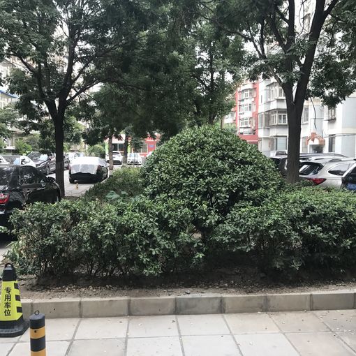 整租·苹果园·海特花园·3室