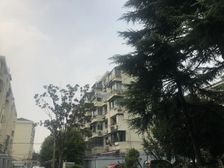 美丽家园小区朝南一房低楼层