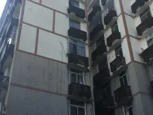 花园六村3室1厅1卫南朝向80.00万元/套出售