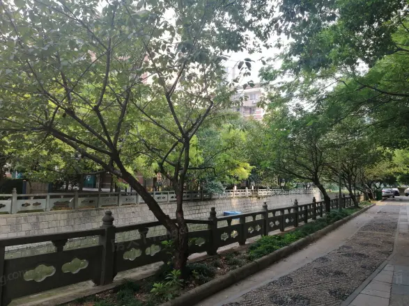 樱花园