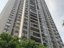 双轻轨 面积大 轻轨旁 单价低 朝中庭 安静