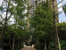 此房户型方正,正规三室两厅两卫,阳台很大