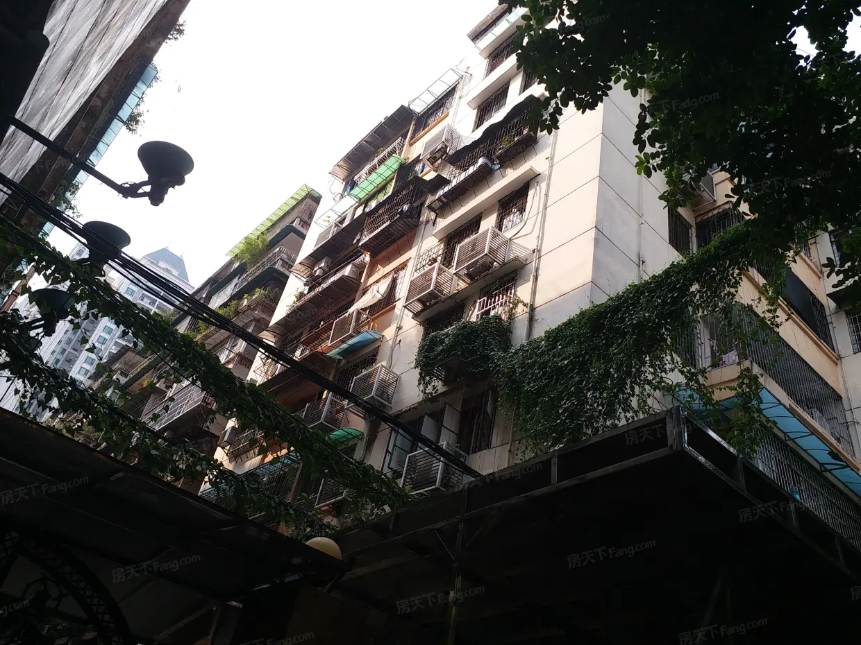 大沙头三马路9号大院