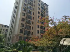 电梯小户型,民用水电,独立生活阳台