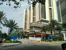 碧桂园帕克诺雅 高层朝南 近地铁口 近东城万达广场