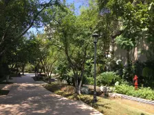 大学城 龙湖花千树二期三房270万