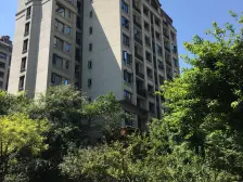 龙湖花千树二期洋房+带地下室+带露台+位置安静+诚心卖