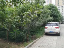 桐柏路,陇海路,地铁口200米