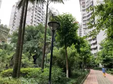 大四房顶跃,业主安心卖,环线陈家坪站步行400米