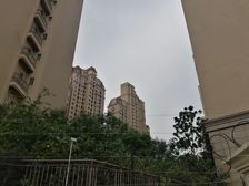 天悦龙庭4室2厅南北