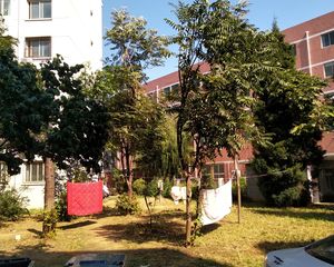 航天家属区红星北里,南北通透,板楼一层,诚心出售