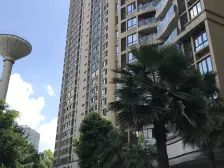 楼层好:采光视野景观好 千亿级嘉州