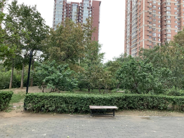 丽泽雅园