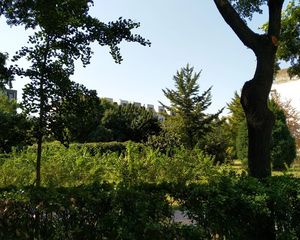 红星北里低楼层两居户型好满五年双阳台
