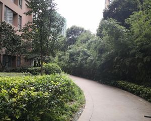 华府西苑3室1厅南