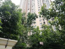 天悦龙庭2室2厅南