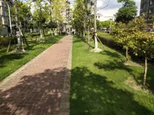 南北通,楼层好,房龄新,环境好,停车方便。