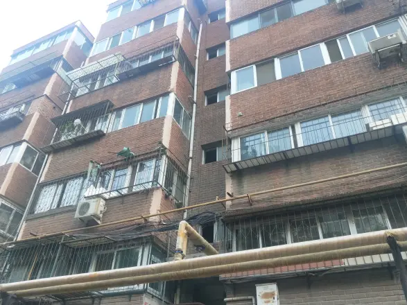 园艺所