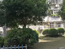 红梅小区(嘉定) 1室0厅 南