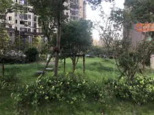 三开间朝南大三房两厅两卫适合三代同