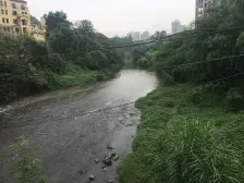 全屋豪华装修,小区环境漂亮,住在公园里,欢迎实地看房。