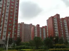 财政金融家属院,户型好,小区安静,更适居住