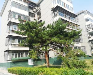 群芳园1室2厅南