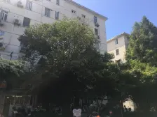 近环球港,四轨交,品质小区!