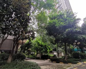 双发金英汇1室1厅北