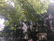 书包房中间楼层,户型方正